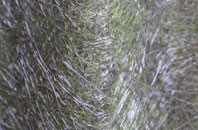 Witney fibreglass roof work